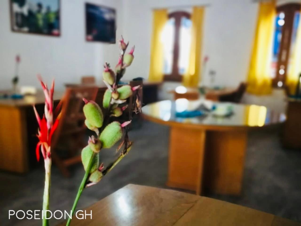 Poseidon Guest House Iquitos Exterior photo